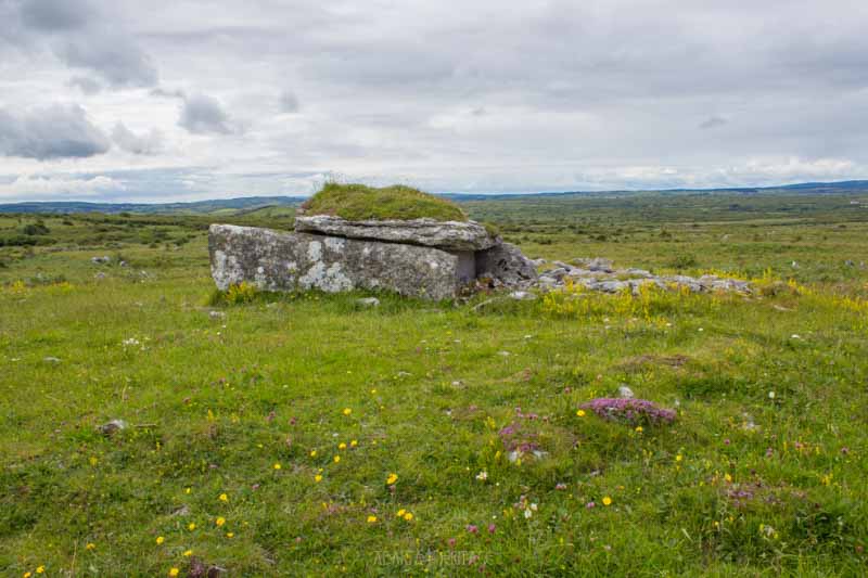 A photograph of Parknabinnia Wedge Tomb in the Burren of County Clare. Wedge tombs appear in Ireland around the same time as the Beaker People, and may have been part of their cultural expression.