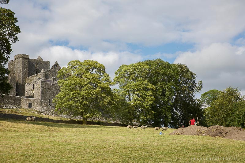 The Comparative Kingship Project seeks to discover more about the early origins of sites like the Rock of Cashel