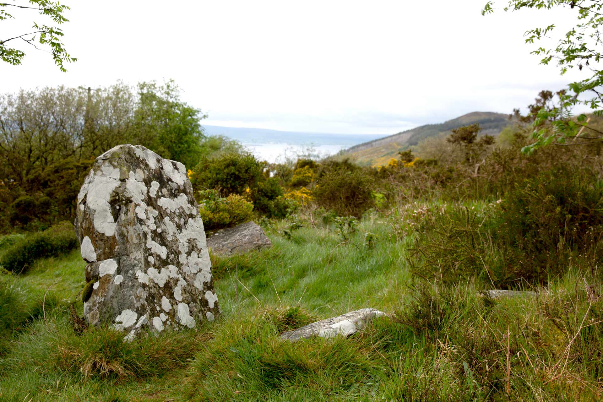 Graves of the Leinstermen, Tipperary