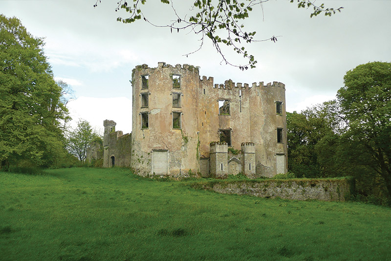 Barrys Castle Buttevant