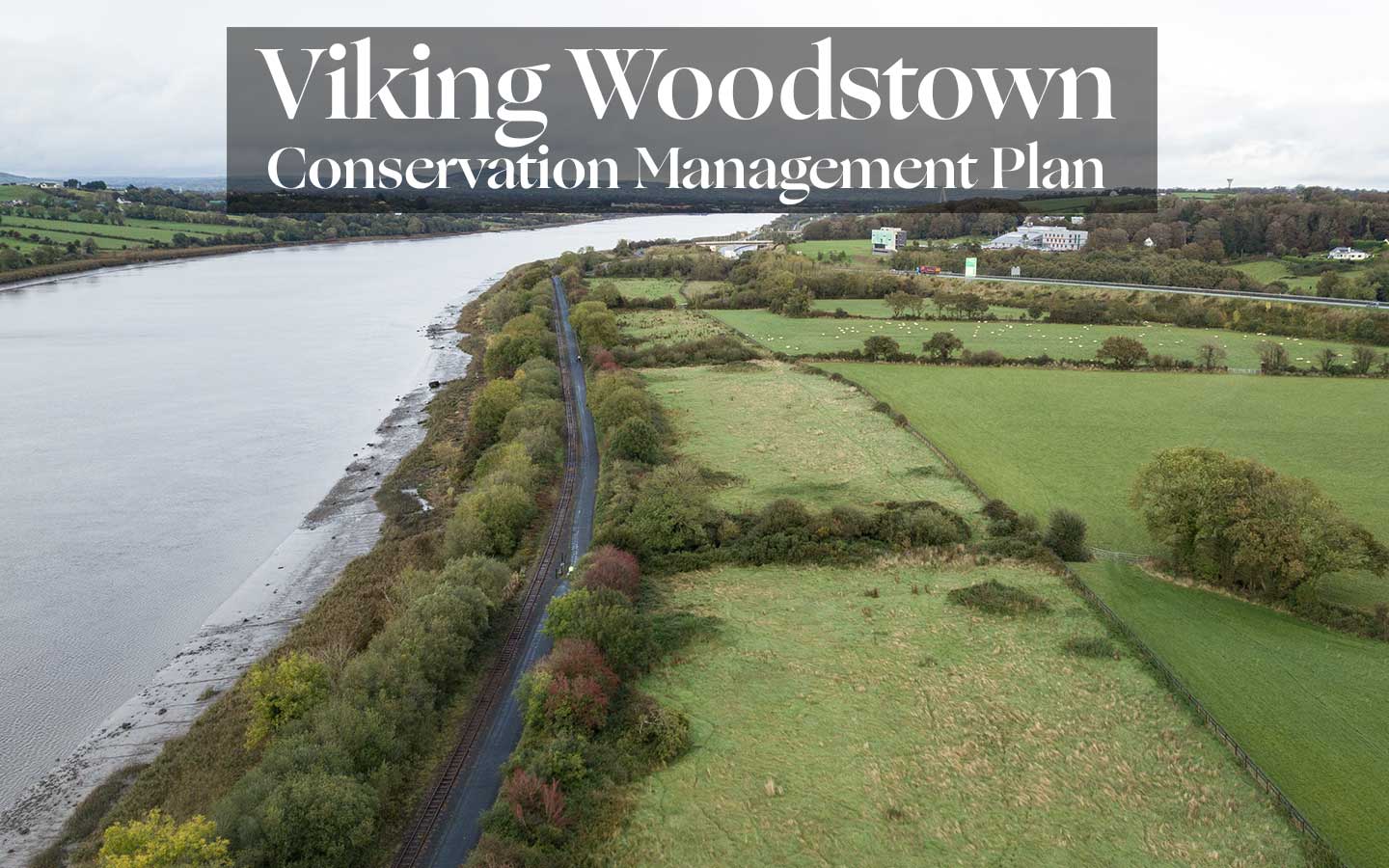 Viking Woodstown Conservation Management Plan