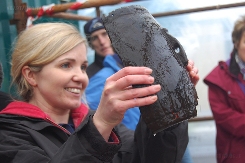 Cathy Moore wetland archaeology expert with a preserved medieval wooden vessel at Drumclay Crannog in 2013