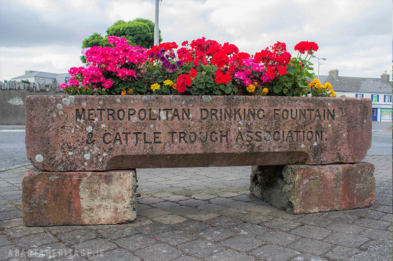 A 19th century cattle trough now reused as a lovely flower bed by Portlaoise Tidy Towns