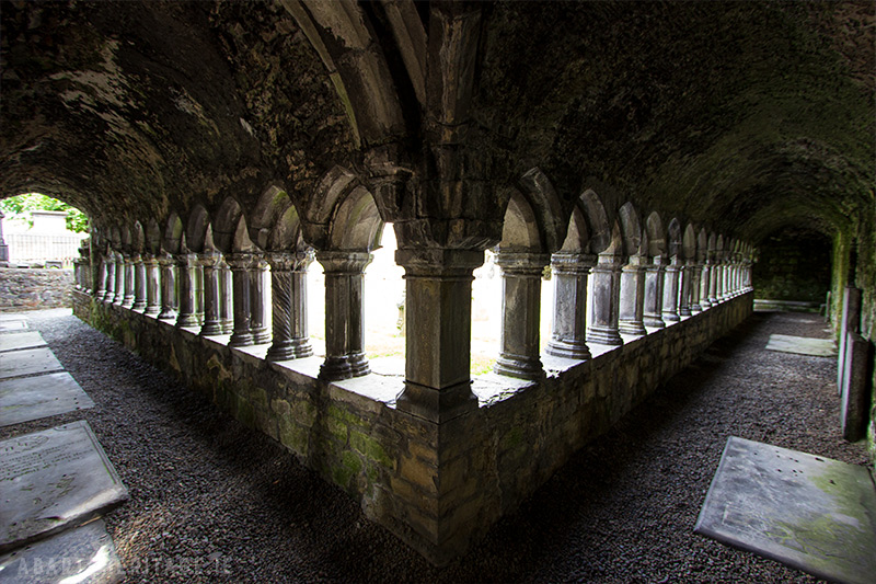 Cloisters of Sligo Abbey