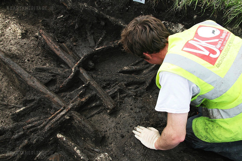 Wetland Archaeology – exposing a well preserved post and wattle fence at Kilbegly Roscommon