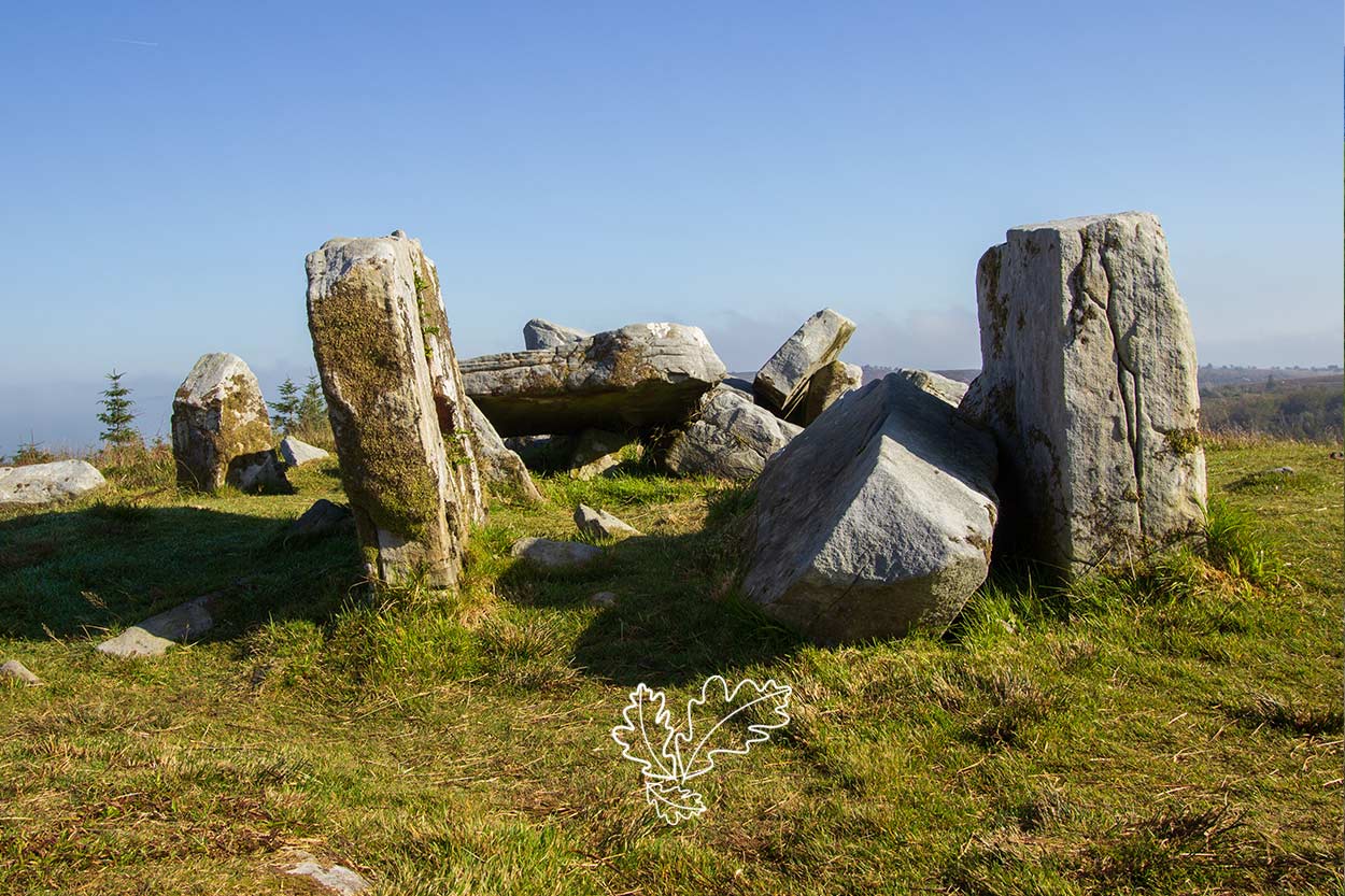 Cavan Burren Wedge Tomb
