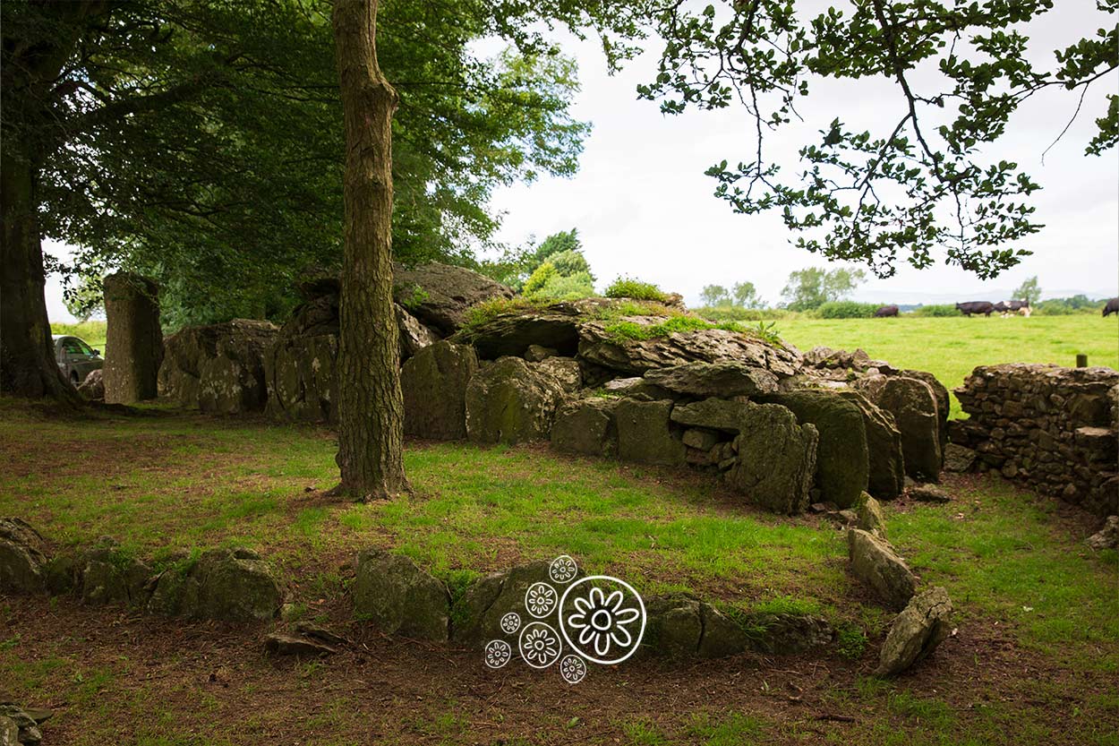 Labbacallee Wedge Tomb Cork Ireland's Ancient East