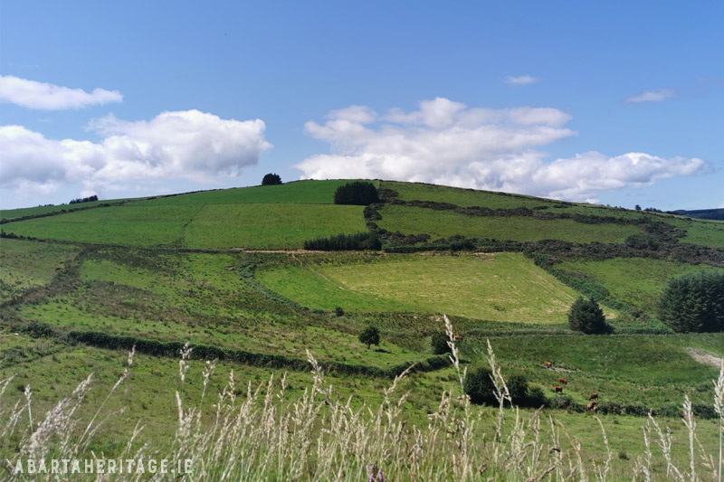 A view of a prominent green hill covered in pasture, with a number of cattle grazing. Used by the IRA as an observation post prior to an attack in 1920. Studied as part of the Landscapes of Archaeology Project