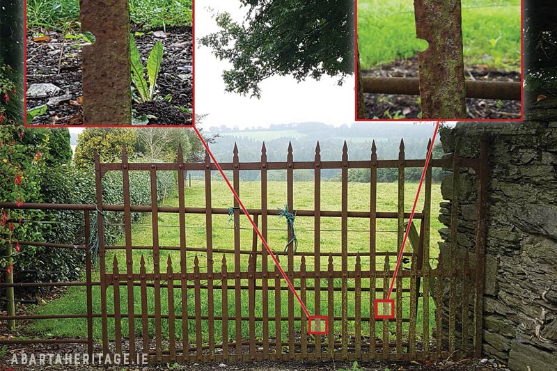 An old and rusted farm gate opening into a greenfield, with zoom sections highlighting bullet damage caused during fighting in the Irish Civil War.