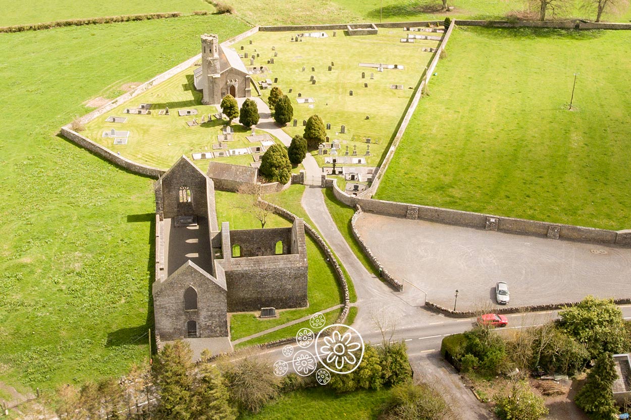 Aerial view of Aghaboe Abbey Laois