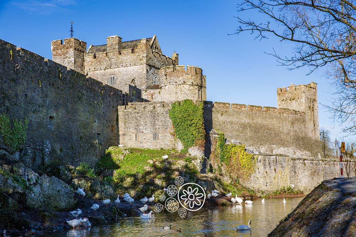 Cahir Castle Tipperary