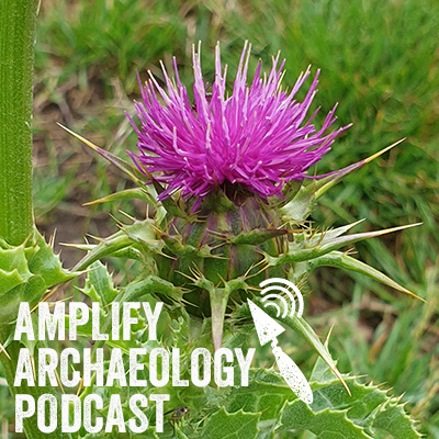 Green Heritage Relict Plants and Medieval Women – Amplify Archaeology Podcast – Episode 27