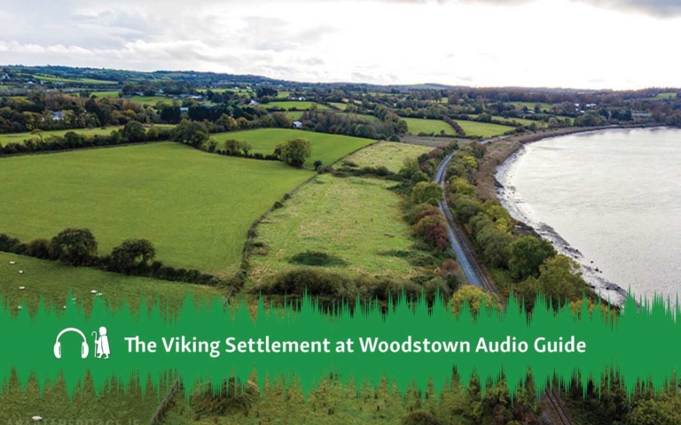 Viking Settlement at Woodstown Audiobook
