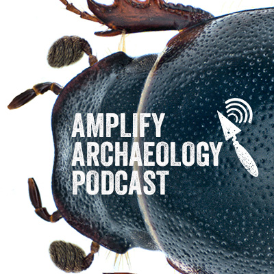 A Bugs AfterLife Archaeological Insect Analysis – Amplify Archaeology Podcast – Episode 31