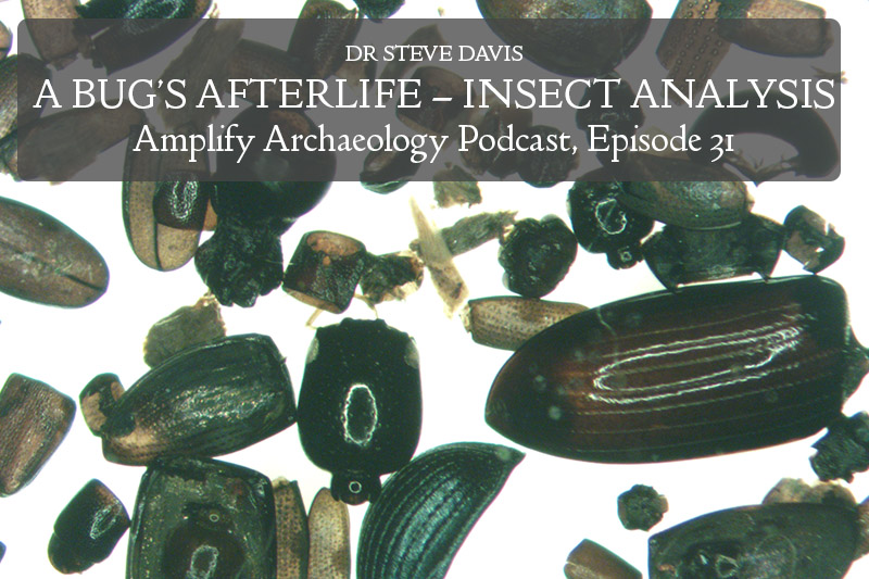 A Bugs AfterLife Archaeological Insect Analysis and Archaeoentomology