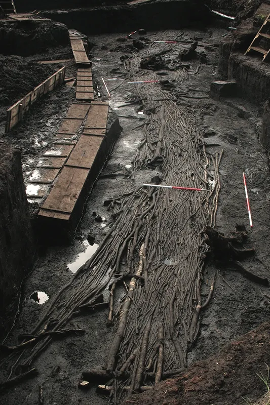 A well preserved wooden trackway uncovered in the bog