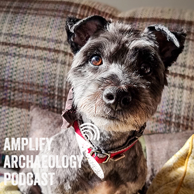 Viking Dogs – Amplify Archaeology Podcast