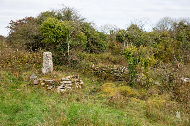 Ogham Stone and Holy Well at Kilmovee Heritage Trail